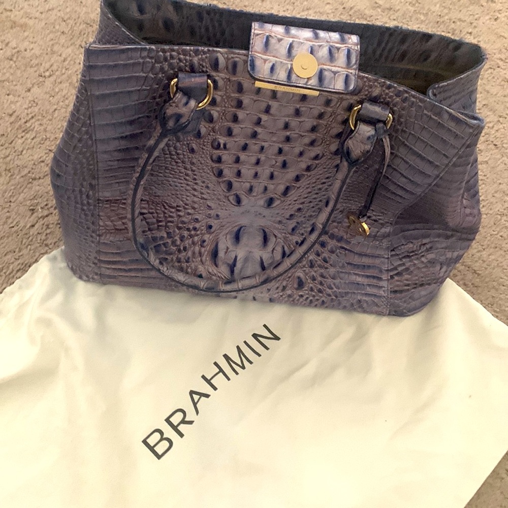Brahmin bag come with dust bag